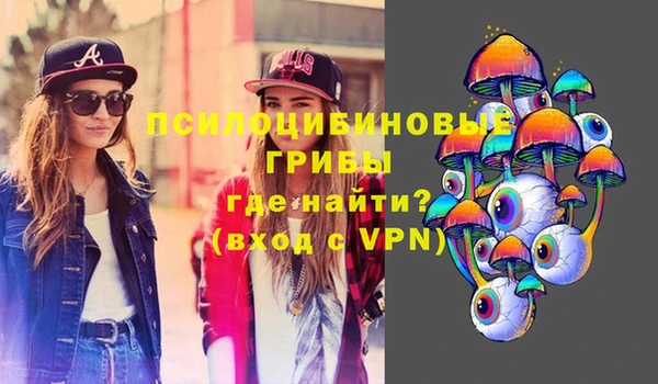 jwh Богородск