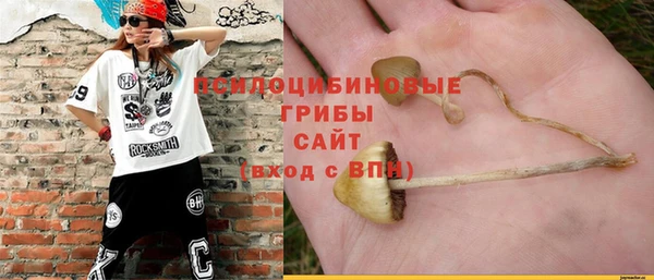 трава Богородицк