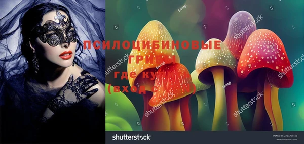 героин Богданович