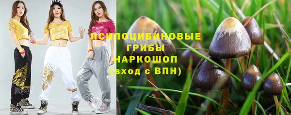 героин Богданович